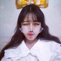 软猫听风