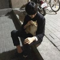 南巷清风