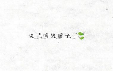 文字