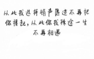 我有孤独与烈酒