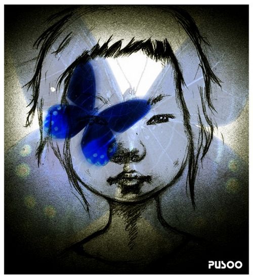 关于蝴蝶的伤感非主流图片:零零散散的心