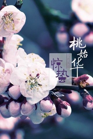 好美的节气