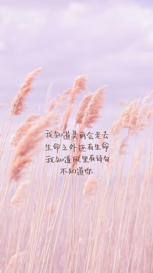 qq个性图片大全带字=个性签名照片大全霸气